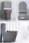 InArt Dual-Flush Siphon Flushing Rimless Elongated One-Piece Toilet (Seat Included) Rough-In Size: 12 '' Grey Matt - InArt-Studio-USA