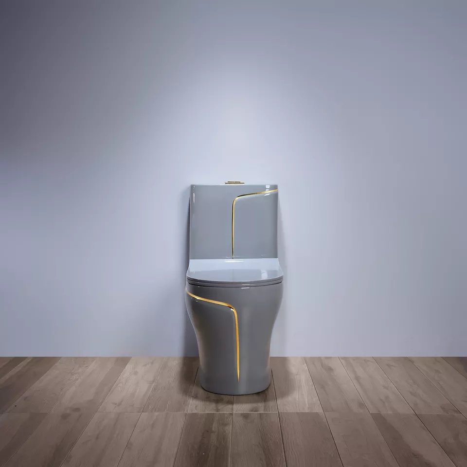 InArt Dual-Flush Siphon Flushing Rimless Elongated One-Piece Toilet (Seat Included) Rough-In Size: 12 '' Grey Matt - InArt-Studio-USA